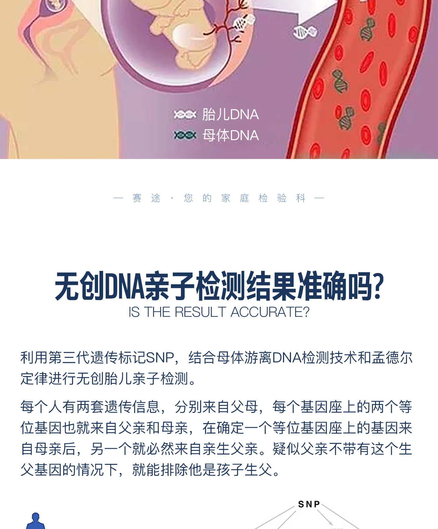 孕期亲子鉴定240111_10.jpg