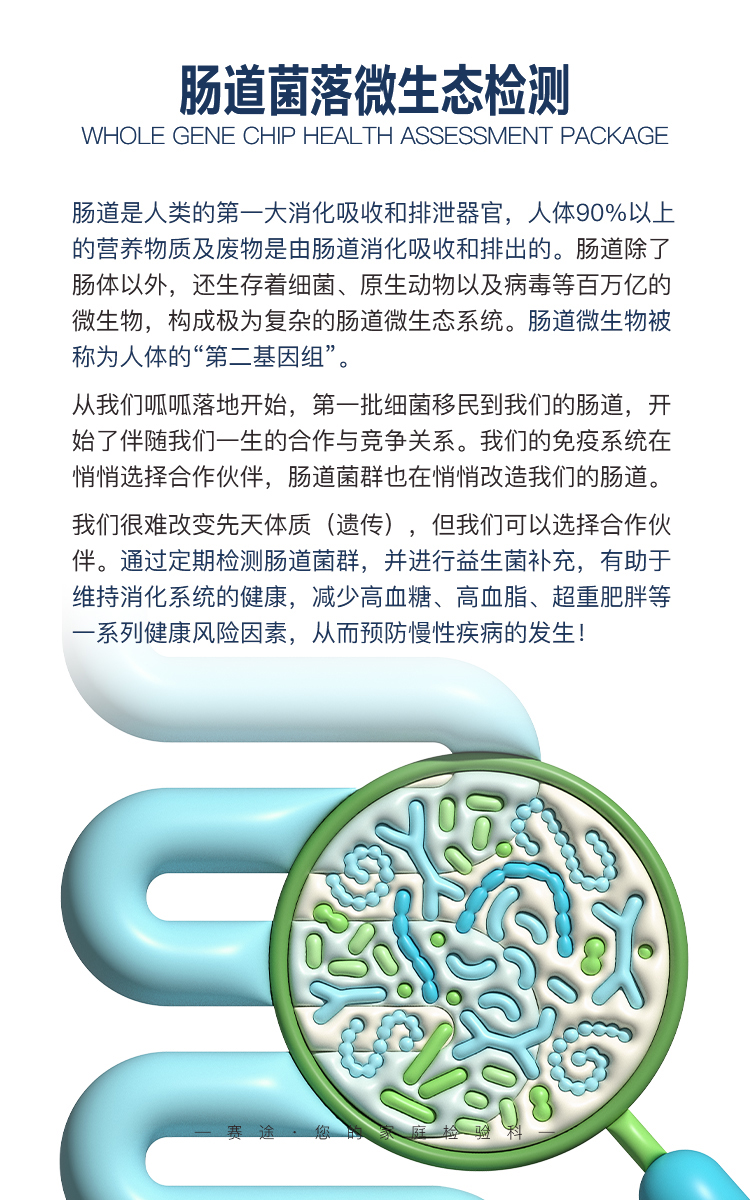 肠道微生物_02.jpg