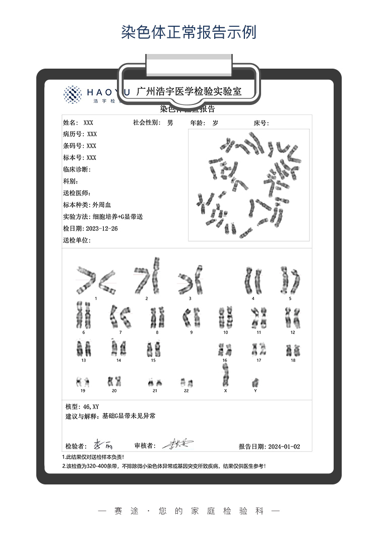 染色体检测-拷贝_05.jpg