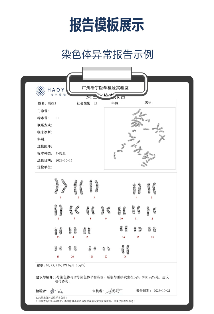 染色体检测-拷贝_04.jpg