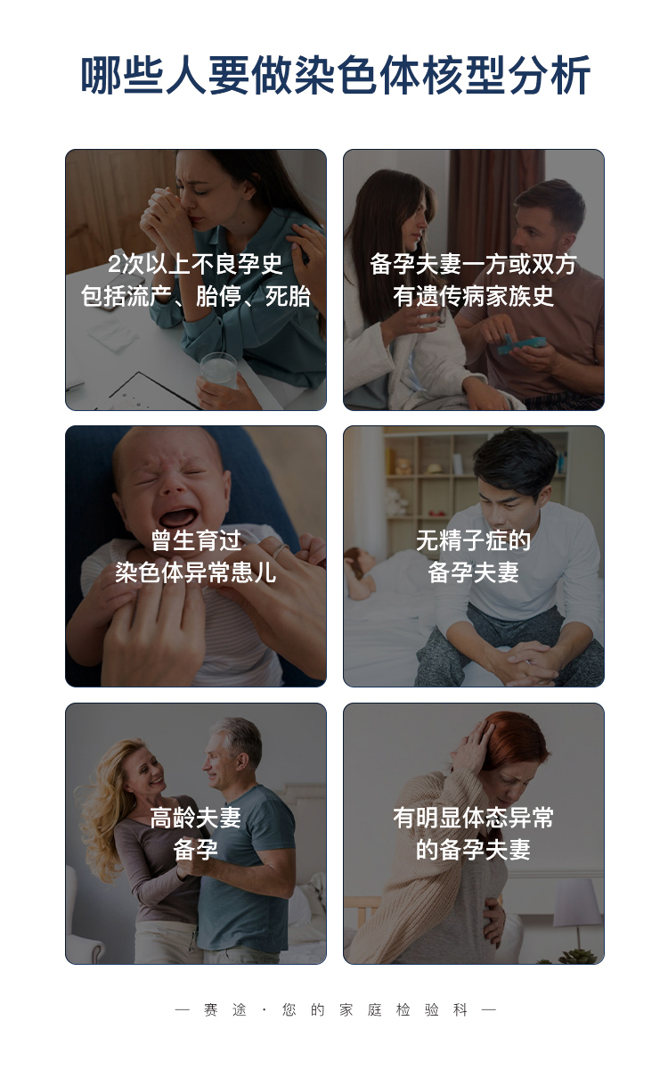 染色体检测-拷贝_03.jpg