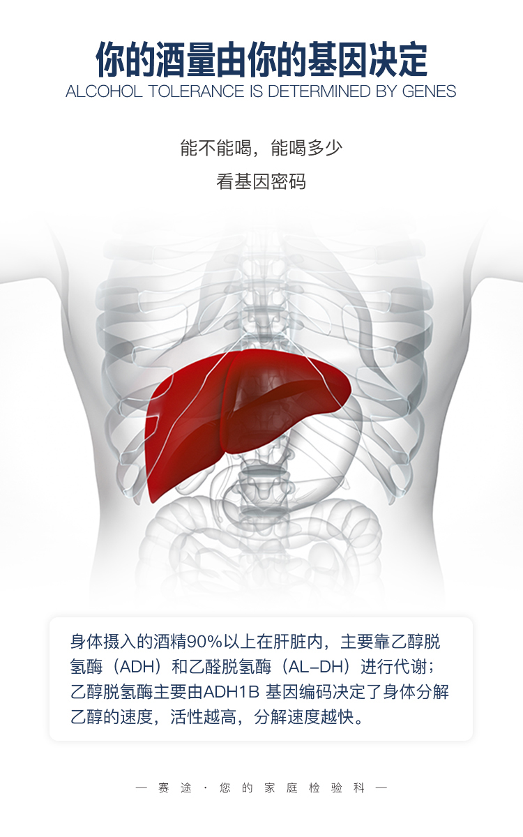 酒精代谢基因检测-拷贝_04.jpg