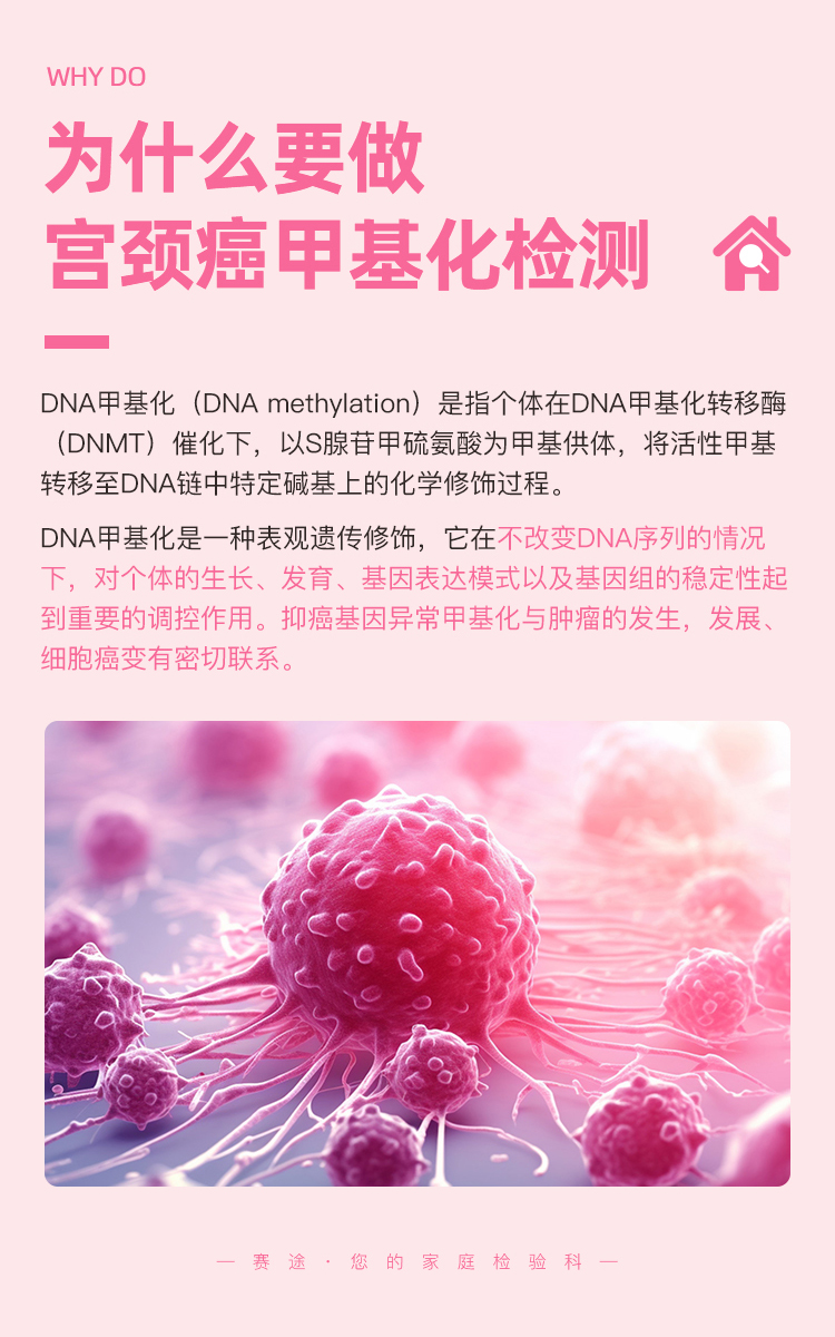 宫颈甲基化-拷贝_02.jpg