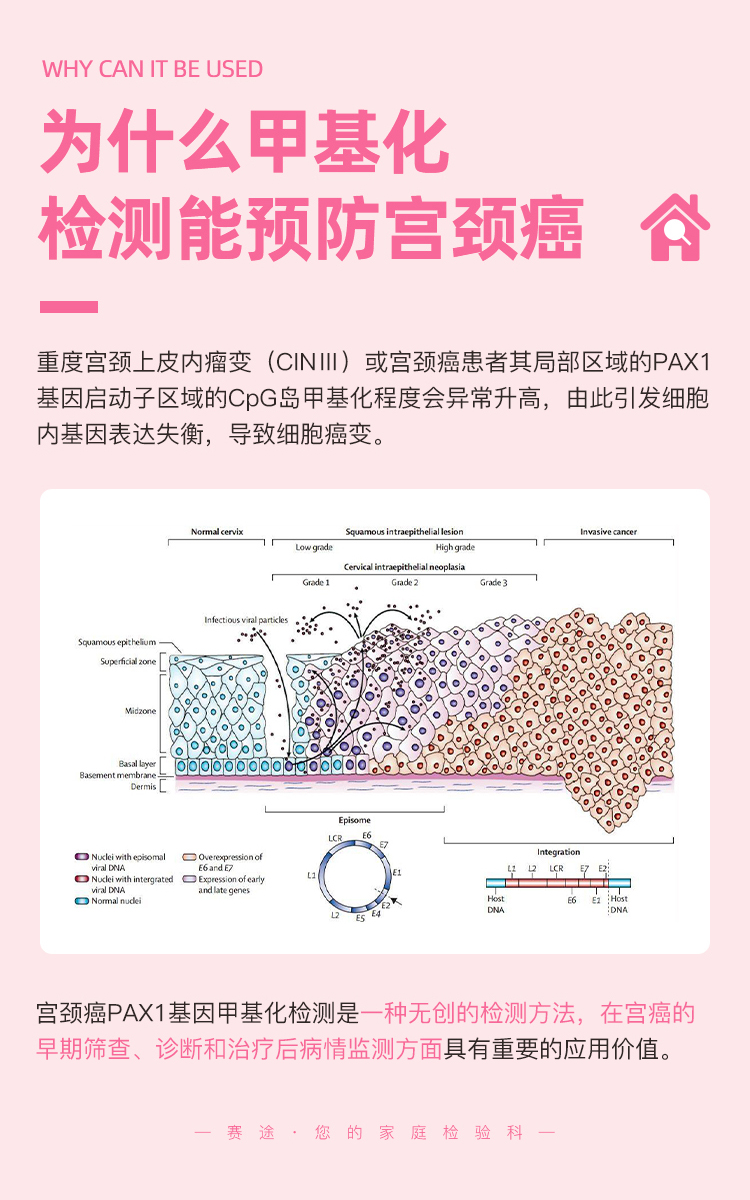 宫颈甲基化-拷贝_03.jpg