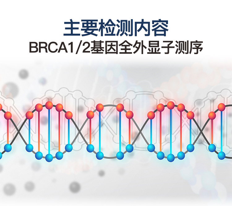 乳腺癌卵巢癌基因筛查-拷贝_07.jpg